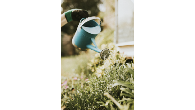 Der Garten wird am Häufigsten mit Brauchwasser bewässert – es wäre aber noch mehr möglich.