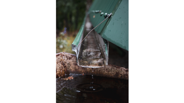 Brauchwasser_A: Die Dachfläche gibt viel Brauchwasser her, das dem lokalen Wasserkreislauf zugeführt werden könnte.